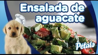 Pétalo Video
